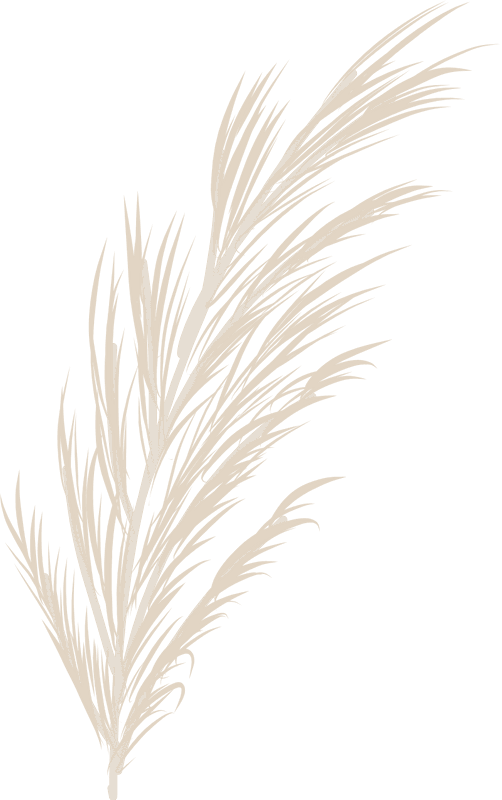 Colas de zorro