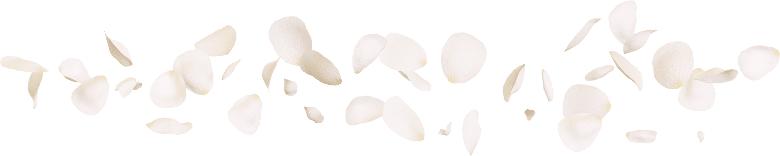 Petals
